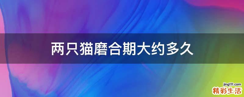两只猫磨合期大约多久