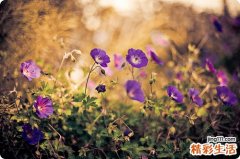 4 女性身体8部位 长的越＂丑＂越健康