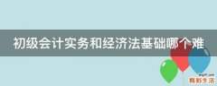 初级会计实务和经济法基础哪个难