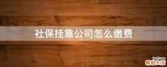 社保挂靠公司怎么缴费