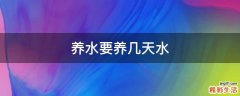 养水要养几天水