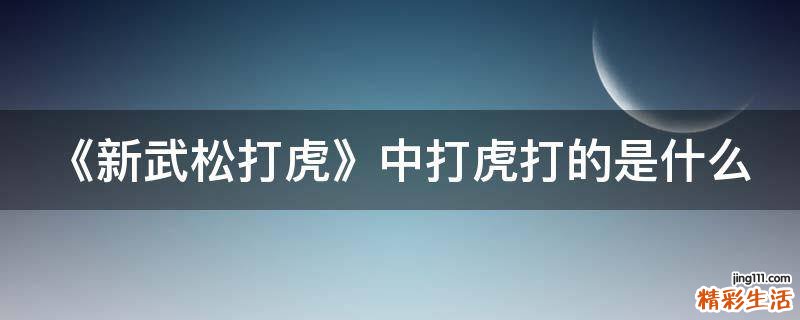 《新武松打虎》中打虎打的是什么