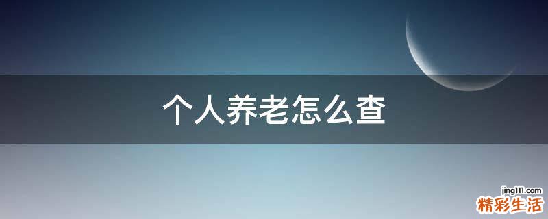 个人养老怎么查
