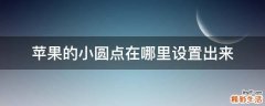 苹果的小圆点在哪里设置出来