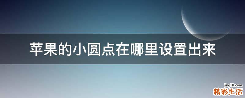 苹果的小圆点在哪里设置出来