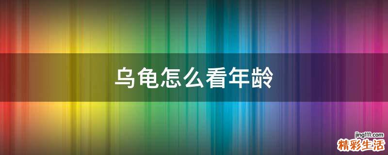 乌龟怎么看年龄