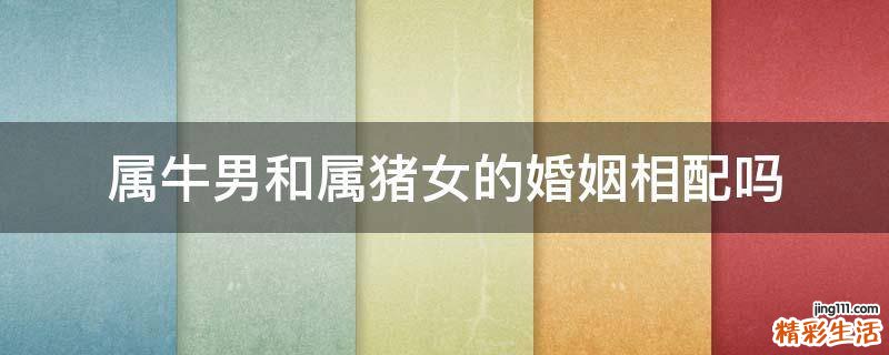 属牛男和属猪女的婚姻相配吗