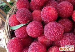 杨梅吃多了会肚子痛吗 吃多了杨梅肚子痛怎么办