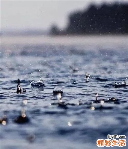 2 水白蜡