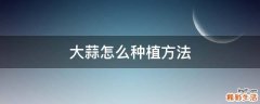 大蒜怎么种植方法