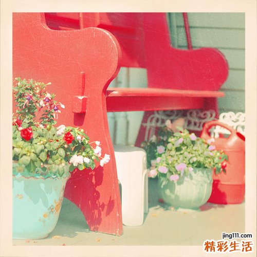 竹卷心
