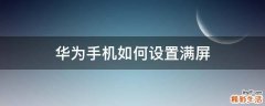 华为手机如何设置满屏