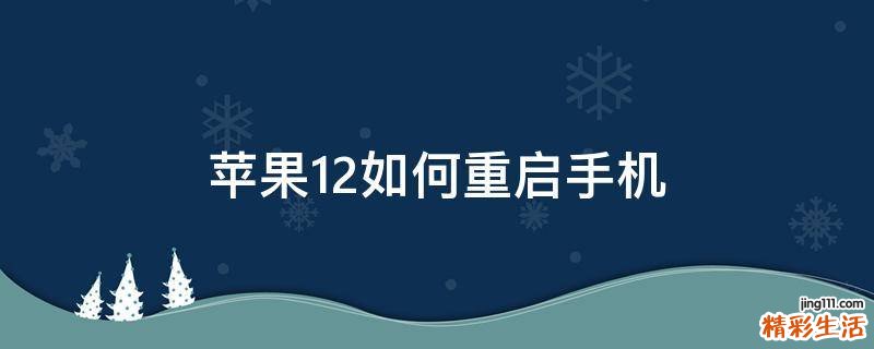 苹果12如何重启手机