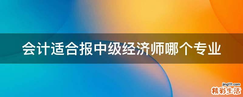 会计适合报中级经济师哪个专业