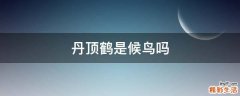 丹顶鹤是候鸟吗