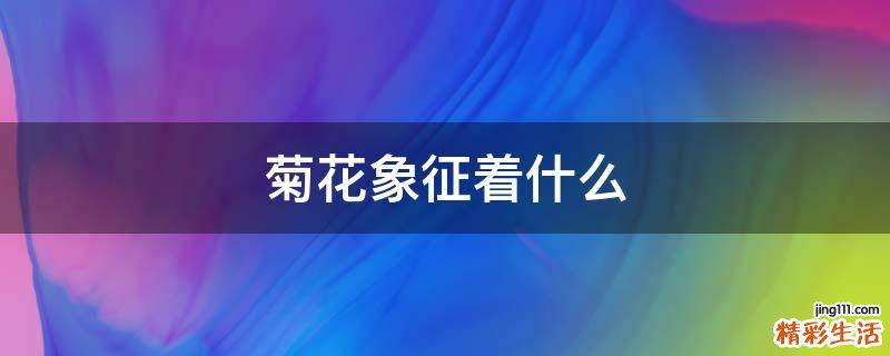 菊花象征着什么