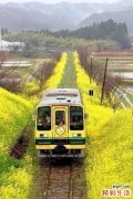抵制职场性骚扰 办公室防狼有招