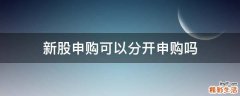 新股申购可以分开申购吗