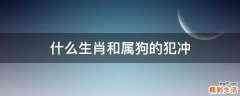 什么生肖和属狗的犯冲