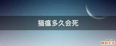 猫瘟多久会死