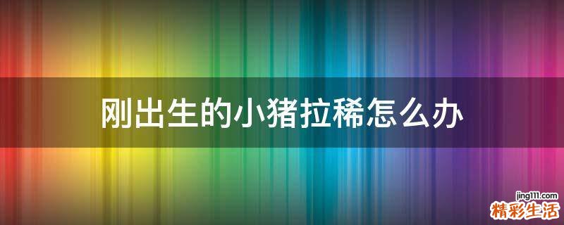 刚出生的小猪拉稀怎么办
