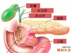 左上腹部疼痛的可能病因