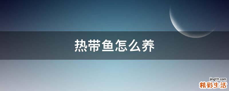 热带鱼怎么养