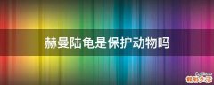 赫曼陆龟是保护动物吗