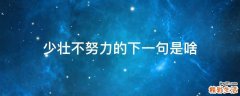 少壮不努力的下一句是啥