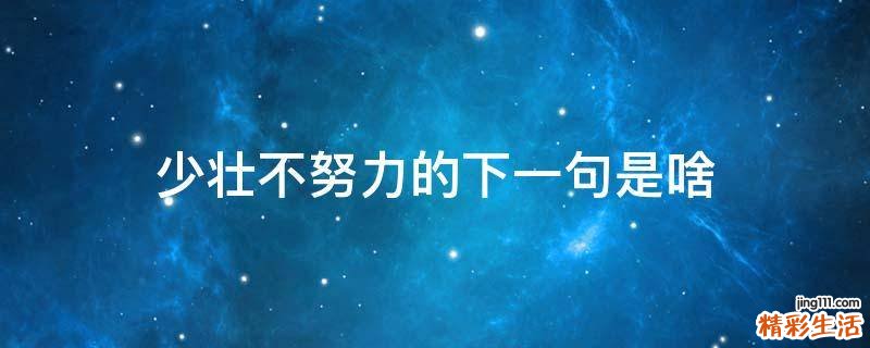 少壮不努力的下一句是啥