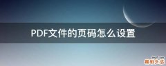PDF文件的页码怎么设置