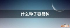什么种子容易种