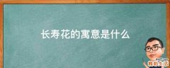 长寿花的寓意是什么