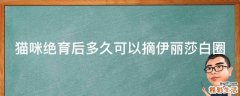 猫咪绝育后多久可以摘伊丽莎白圈