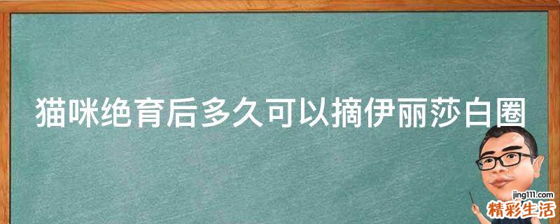 猫咪绝育后多久可以摘伊丽莎白圈