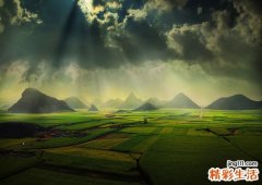 箭杆风