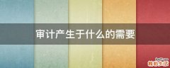 审计产生于什么的需要