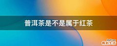 普洱茶是不是属于红茶
