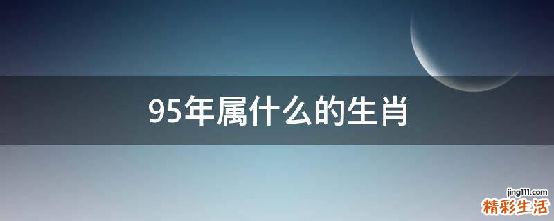 95年属什么的生肖