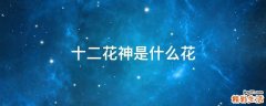 十二花神是什么花