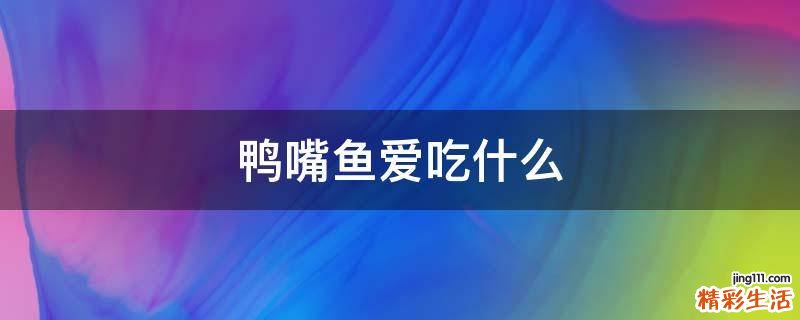 鸭嘴鱼爱吃什么