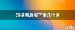 鸡换羽后能下蛋几个月