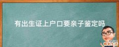 有出生证上户口要亲子鉴定吗