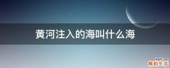黄河注入的海叫什么海