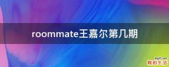 roommate王嘉尔第几期