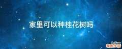 家里可以种桂花树吗