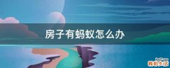 房子有蚂蚁怎么办