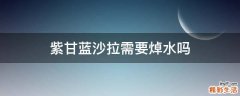 紫甘蓝沙拉需要焯水吗