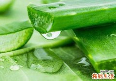 消化不良吃什么好 6种健胃消食的食物