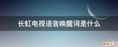 长虹电视语音唤醒词是什么